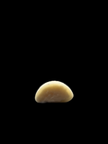 Mochis Glacés