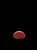 Mochis Glacés